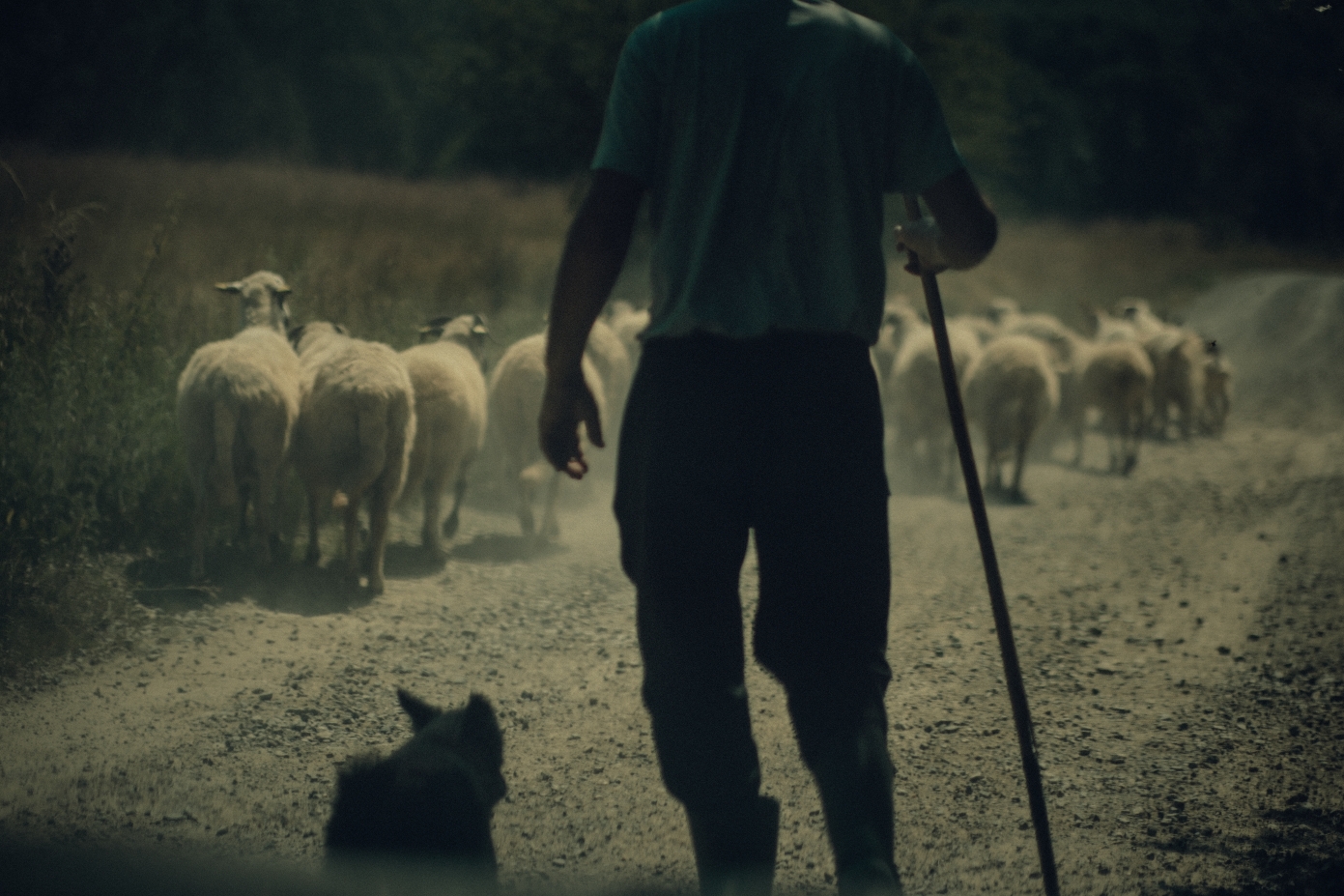 Documentary photograph from rural Romania
