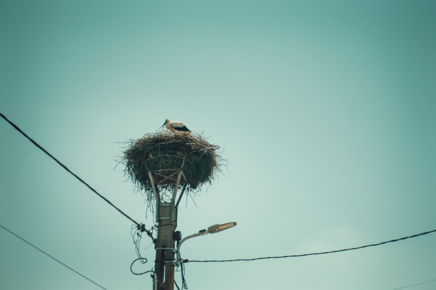 Documentary photograph from rural Romania